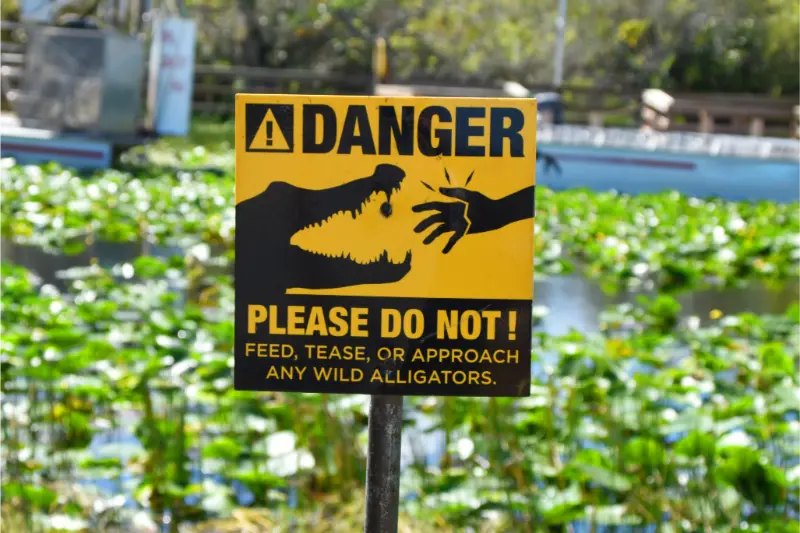 Alligator Danger Sign National Park Everglades Wildlife Miami Florida USA