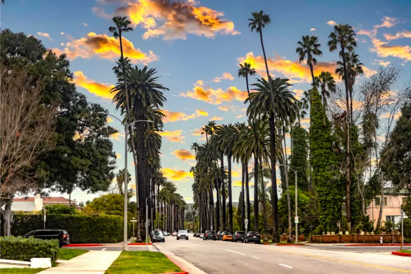 Beverly Hills Los Angeles The State Of California