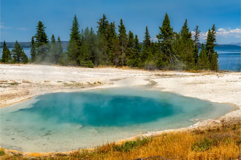Blue Thermal Water Surging Spring Sits Near Yellowstone Lake Wyoming USA Geothermal Pool
