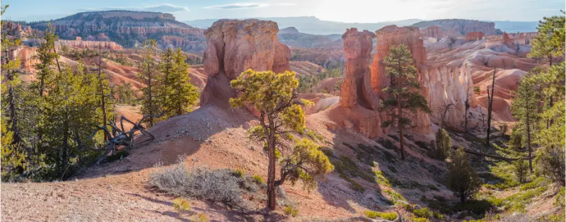 Bryce Amphitheater Sunrise Bryce Canyon National Park Utah USA