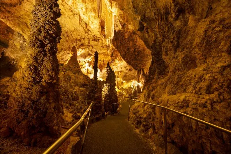Carlsbad Grotte National Park USA New Mexico