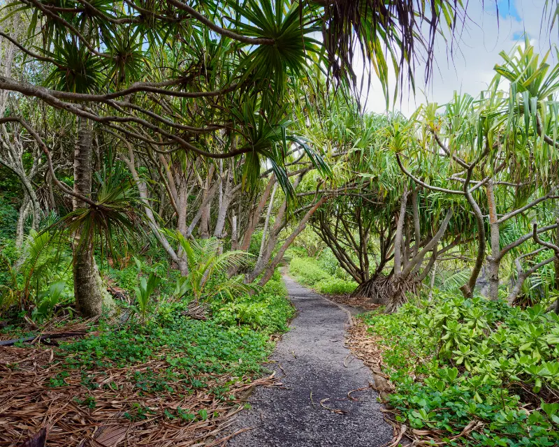 Haleakala National Park Island Maui Hawaii USA