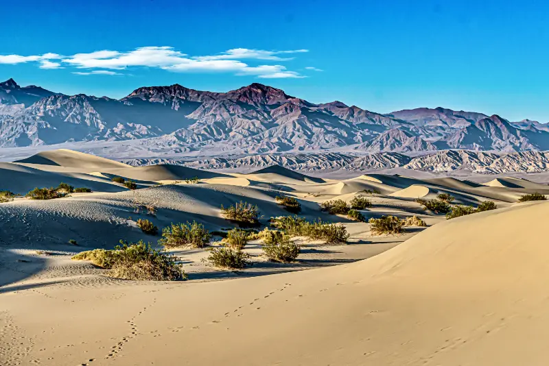 Mesquite Sand Dunes Death Valley National Park California USA