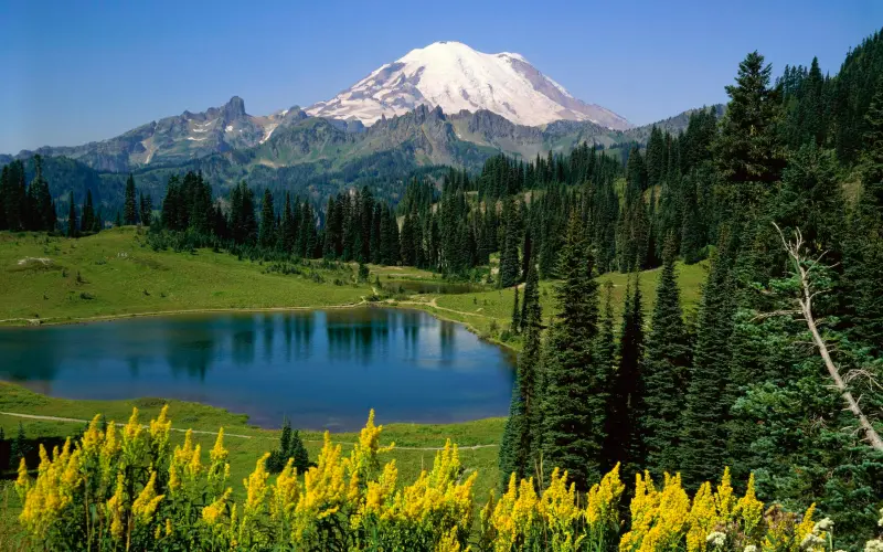 Mount Rainier Reflected Reflection Lakes Inside Mount Rainier National Park State Washington USA