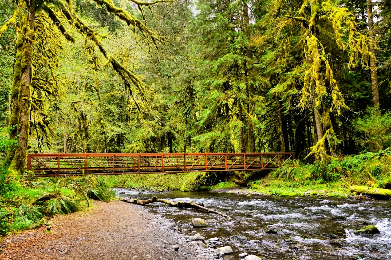 Olympic National Park Washington USA