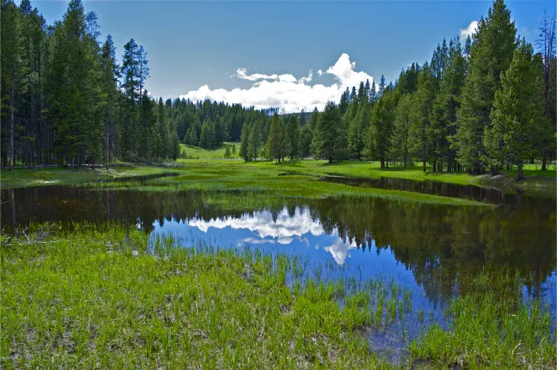 Small Yellowstone Lake Yellowstone Plateau Yellowstone Collection Wyoming USA